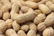 Peanut background