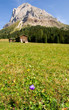 Sass de Puntia - Villnößtal - Dolomiten - Alpen