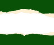 A green sheet of paper is teared in two