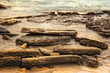 Rugged Coastline
