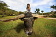 Photo: Girl on yak Girl on yak