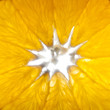 slice of orange slice of orange