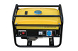 Petrol generator
