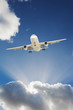 Airplane in the sky