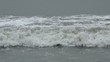 Sea shore