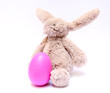 Easter Bunny and his Egg