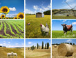 Agricultural concepts
