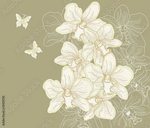 Vector: orchidee disegnate a mano libera su sfondo scuro orchidee disegnate a mano libera su sfondo scuro
