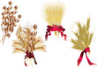 oat and wheat sheafs on white