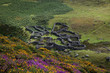Carneddau Snowdonia