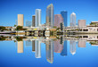 Tampa Bay Skyline