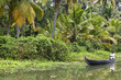 Man in canoe  in Backwaters, India.
