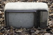 Fernseher im Wald