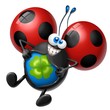 SuperCoccinella quadrifoglio