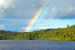 Rainbow in the Wilds