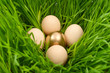Easter eggs Easter eggs