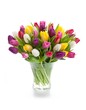 Foto: Spring tulips Spring tulips