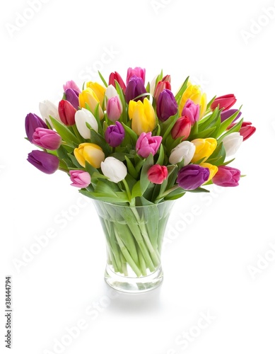 Foto: Spring tulips Spring tulips