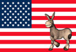 Democrat Donkey