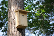 Foto: Brutkasten, Nistkasten, Vogelschutz, Naturschutz, Singvögel Brutkasten, Nistkasten, Vogelschutz, Naturschutz, Singvögel