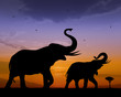 Illustration: Elephants Elephants