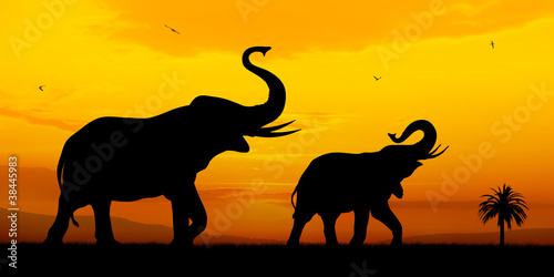 Illustration: Elephants Elephants