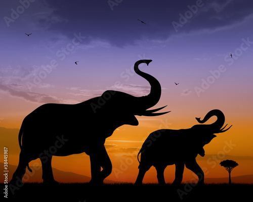 Illustration: Elephants Elephants