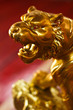 Golden Tiger