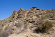 Desert of Arizona