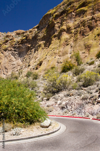 Photo: Road through the Arizona Desert Road through the Arizona Desert