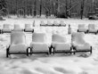 Reihen verschneiter Stühle im Park