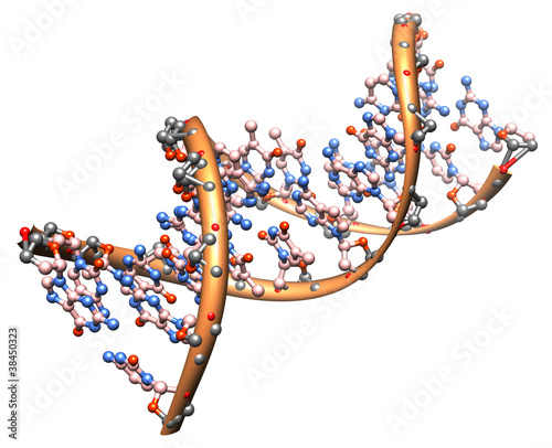 Photo: DNA molecule DNA molecule