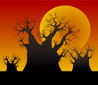 Sunset and baobab trees Sunset and baobab trees