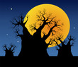 Night landscape with baobab trees Night landscape with baobab trees