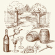 hand drawn wine collection