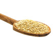 Quinoa