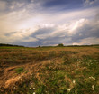 Summer panoramic landscape at windy day