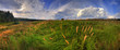 Summer panoramic landscape at windy day