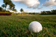 golf ball lies on rough beside fairway of tropical florida cours