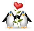 pinguini con cuore