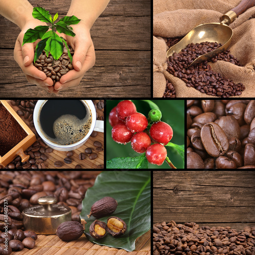 Photo: Coffee, collage Coffee, collage