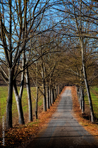 Photo: paesaggio autunnale paesaggio autunnale