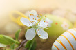 Frühlingsfrische Osterdekoration