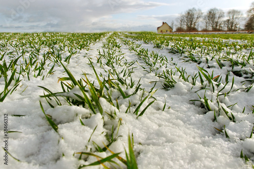 Photo: Snow on the land. Snow on the land.