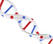 Unusual structure of DNA from wool