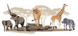 Vecteur : African Animals African Animals