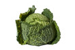 Green salad