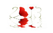 Illustration: 2013 - Flood Coquelicots 2013 - Flood Coquelicots