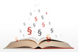 Foto: open book of laws open book of laws