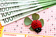 Lottoglück-Geld
